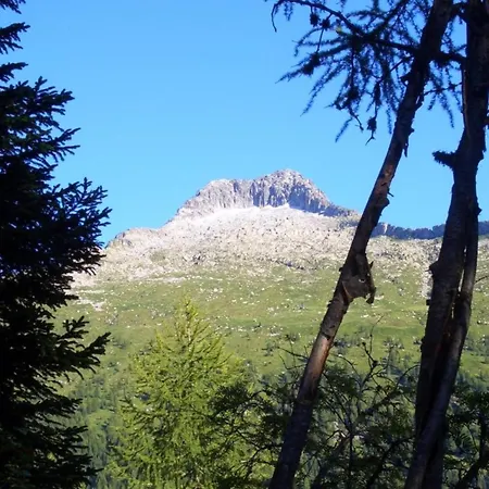 In With Pool, Garden And View