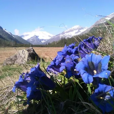 In With Pool, Garden And View Apartamento *